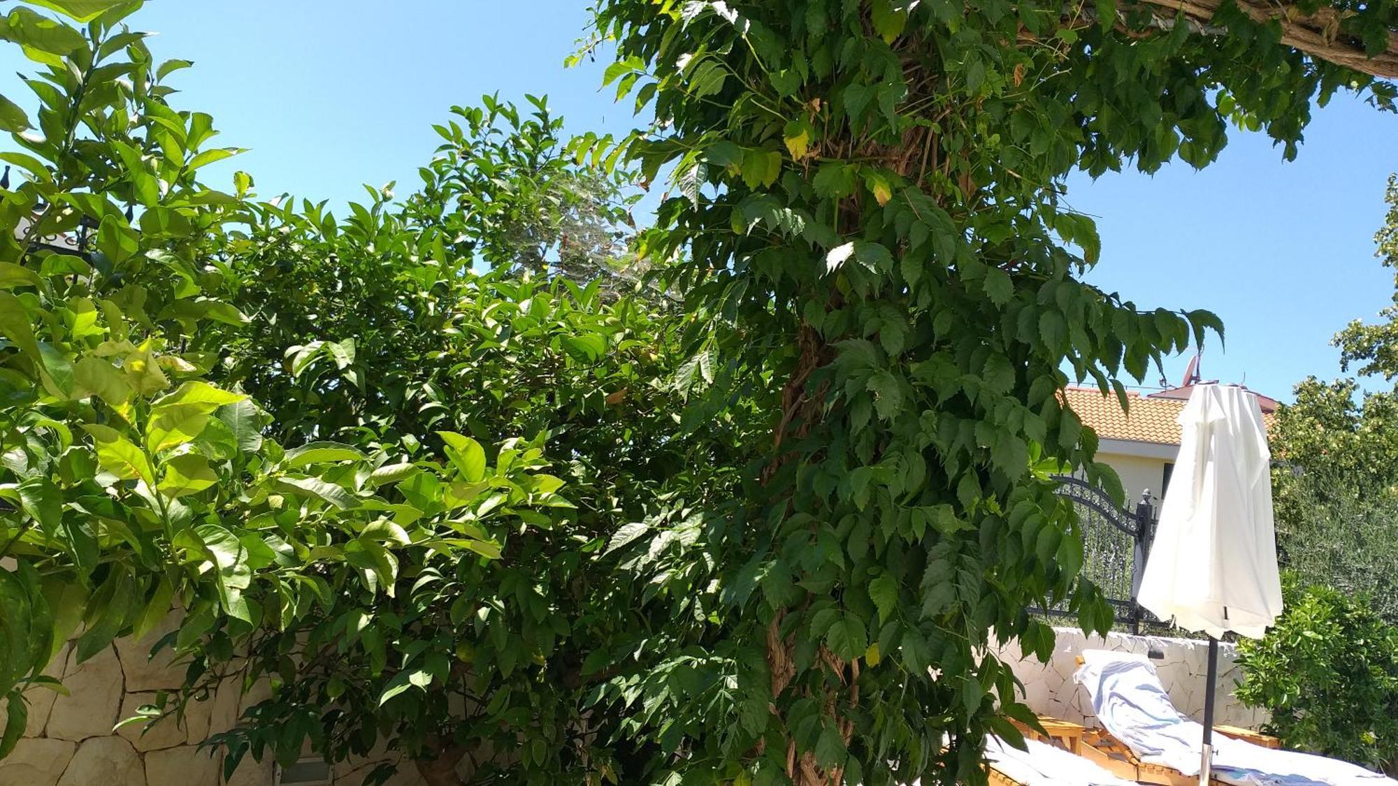Villa Mira Trogir Zimmer foto